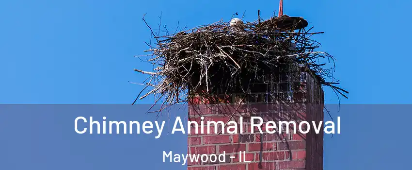  Chimney Animal Removal Maywood - IL