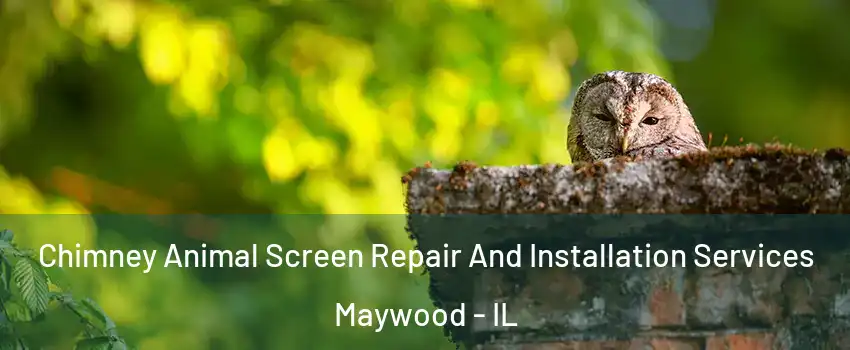  Chimney Animal Screen Repair And Installation Services Maywood - IL