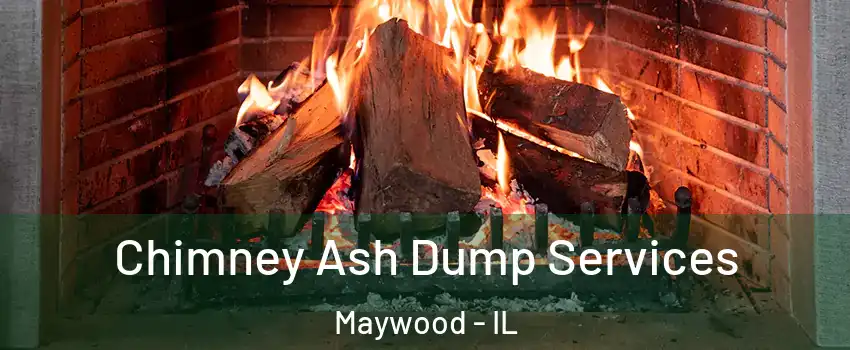  Chimney Ash Dump Services Maywood - IL