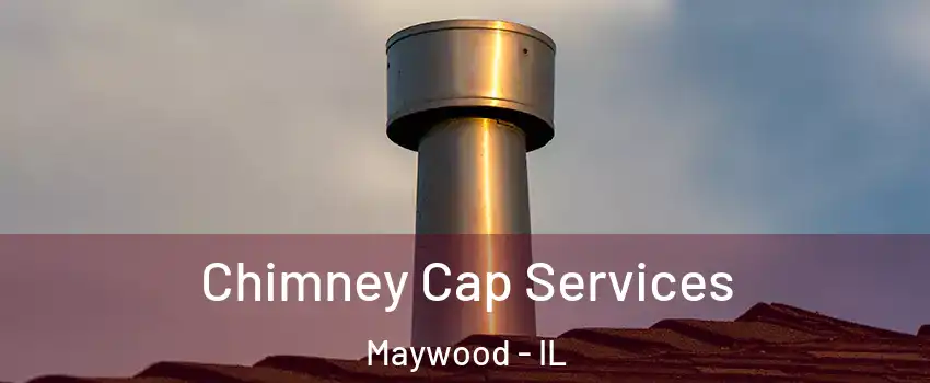  Chimney Cap Services Maywood - IL