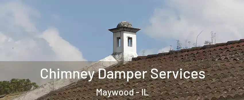  Chimney Damper Services Maywood - IL