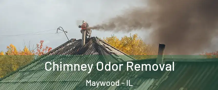  Chimney Odor Removal Maywood - IL