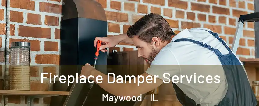  Fireplace Damper Services Maywood - IL