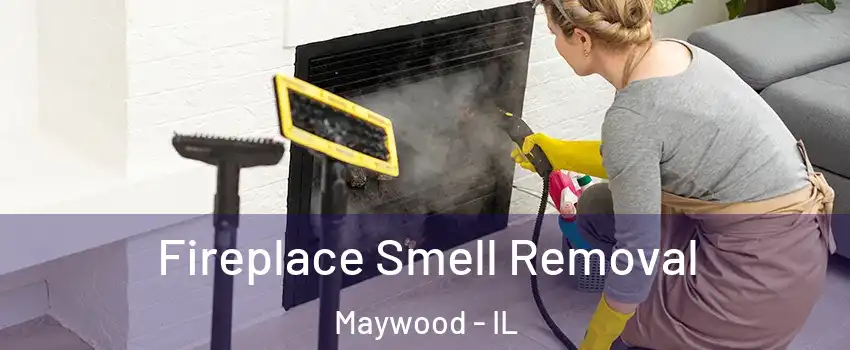  Fireplace Smell Removal Maywood - IL