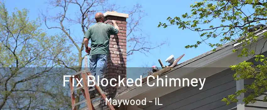  Fix Blocked Chimney Maywood - IL