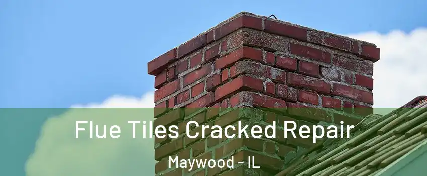  Flue Tiles Cracked Repair Maywood - IL