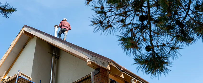 Birds Removal Contractors from Chimney in Maywood, IL