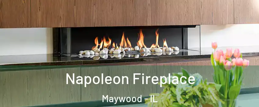  Napoleon Fireplace Maywood - IL