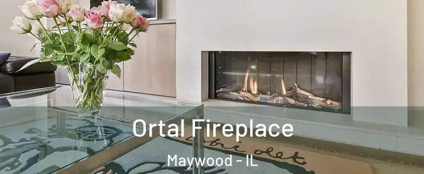  Ortal Fireplace Maywood - IL